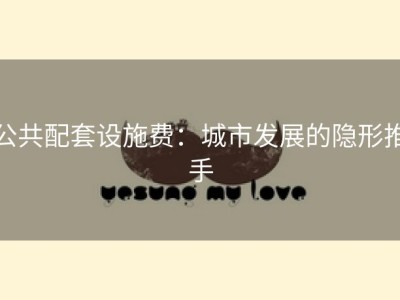 公共配套设施费：城市发展的隐形推手