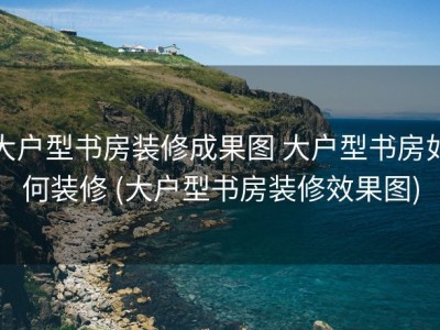 大户型书房装修成果图 大户型书房如何装修 (大户型书房装修效果图)