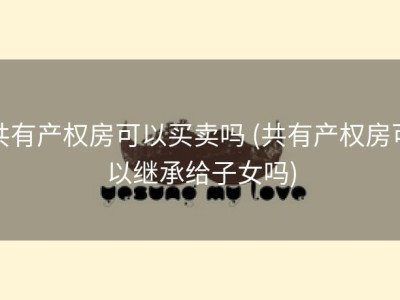 共有产权房可以买卖吗 (共有产权房可以继承给子女吗)