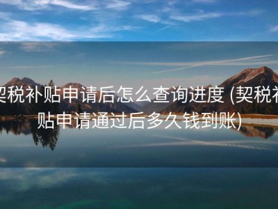 契税补贴申请后怎么查询进度 (契税补贴申请通过后多久钱到账)