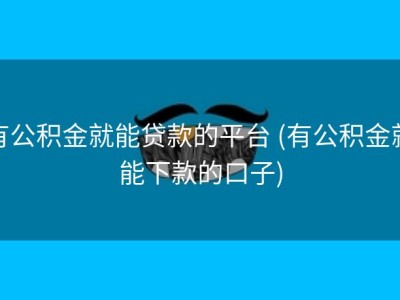 有公积金就能贷款的平台 (有公积金就能下款的口子)