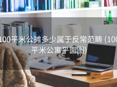 100平米公摊多少属于反常范畴 (100平米公寓平面图)