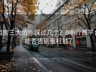 租房三大坑你踩过几个？0中介费平台能否告别冤枉钱？