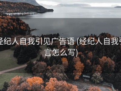 经纪人自我引见广告语 (经纪人自我引言怎么写)