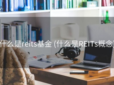 什么是reits基金 (什么是REITs概念)