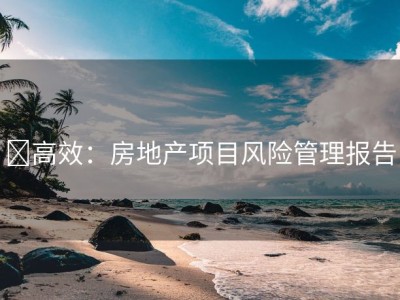 �高效：房地产项目风险管理报告