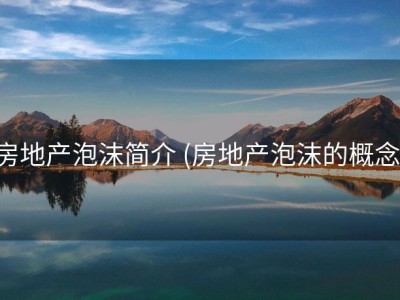房地产泡沫简介 (房地产泡沫的概念)