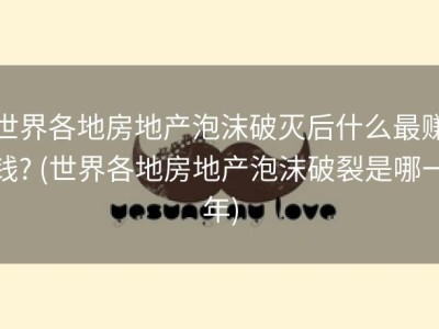 世界各地房地产泡沫破灭后什么最赚钱? (世界各地房地产泡沫破裂是哪一年)