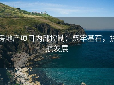 房地产项目内部控制：筑牢基石，护航发展