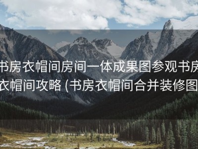 书房衣帽间房间一体成果图参观书房衣帽间攻略 (书房衣帽间合并装修图)