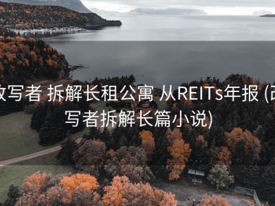 改写者 拆解长租公寓 从REITs年报 (改写者拆解长篇小说)