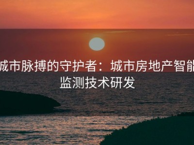 城市脉搏的守护者：城市房地产智能监测技术研发