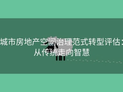 城市房地产空间治理范式转型评估：从传统走向智慧