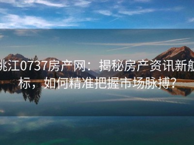 桃江0737房产网：揭秘房产资讯新航标，如何精准把握市场脉搏？