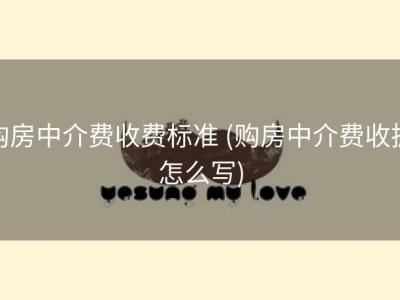 购房中介费收费标准 (购房中介费收据怎么写)