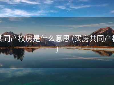 共同产权房是什么意思 (买房共同产权)