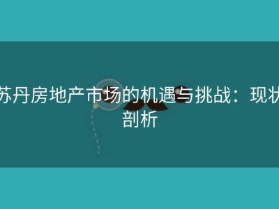 苏丹房地产市场的机遇与挑战：现状剖析