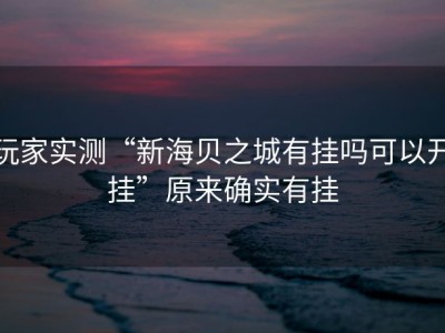 玩家实测“新海贝之城有挂吗可以开挂”原来确实有挂