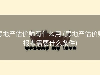 房地产估价师有什么用 (房地产估价师报考需要什么条件)