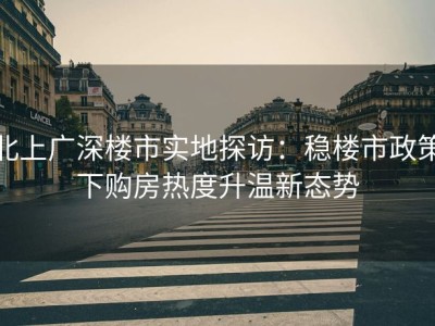 北上广深楼市实地探访：稳楼市政策下购房热度升温新态势