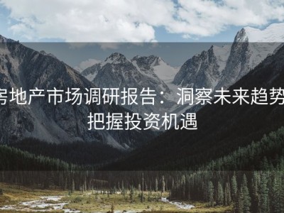 房地产市场调研报告：洞察未来趋势，把握投资机遇