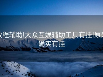 教程辅助!大众互娱辅助工具有挂!原来确实有挂