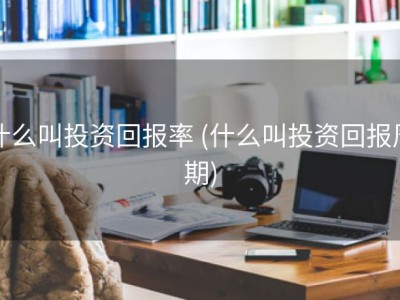 什么叫投资回报率 (什么叫投资回报周期)