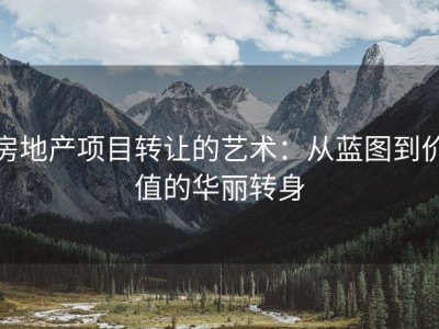 房地产项目转让的艺术：从蓝图到价值的华丽转身