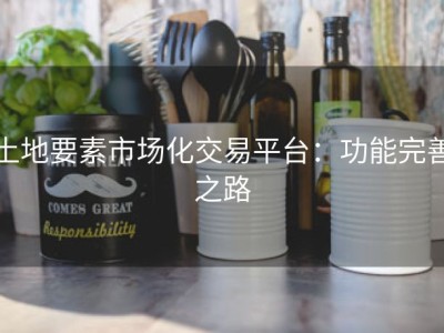 土地要素市场化交易平台：功能完善之路