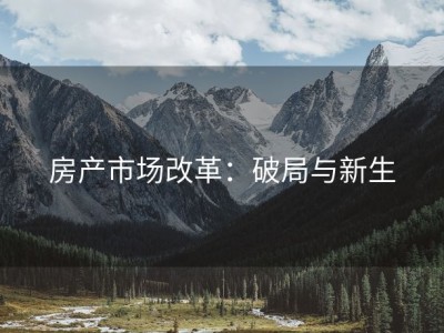 房产市场改革：破局与新生