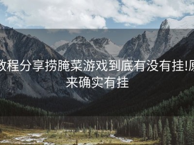 教程分享捞腌菜游戏到底有没有挂!原来确实有挂