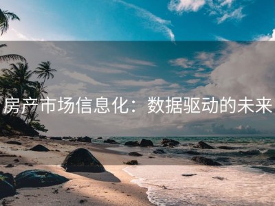 房产市场信息化：数据驱动的未来