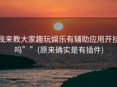 我来教大家趣玩娱乐有辅助应用开挂吗””(原来确实是有插件)