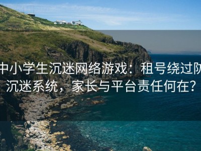 中小学生沉迷网络游戏：租号绕过防沉迷系统，家长与平台责任何在？