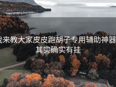 我来教大家皮皮跑胡子专用辅助神器,”其实确实有挂