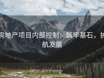 房地产项目内部控制：筑牢基石，护航发展