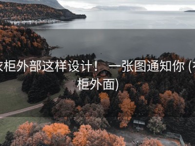 衣柜外部这样设计！ 一张图通知你 (衣柜外面)