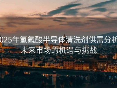 2025年氢氟酸半导体清洗剂供需分析：未来市场的机遇与挑战