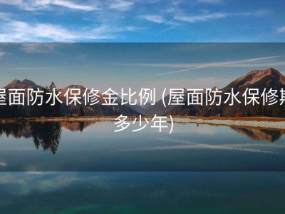 屋面防水保修金比例 (屋面防水保修期多少年)