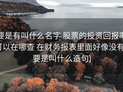 要是有叫什么名字 股票的投资回报率可以在哪查 在财务报表里面好像没有 (要是叫什么造句)