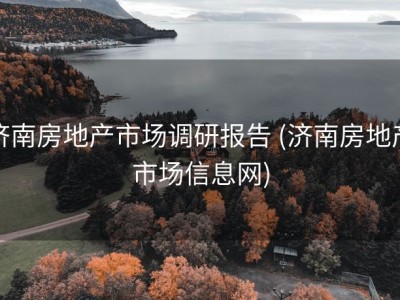 济南房地产市场调研报告 (济南房地产市场信息网)