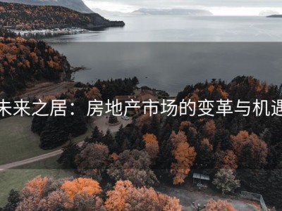 未来之居：房地产市场的变革与机遇