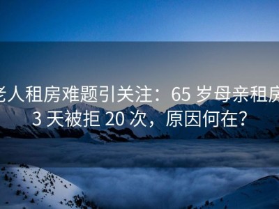 老人租房难题引关注：65 岁母亲租房 3 天被拒 20 次，原因何在？