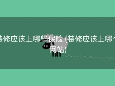 装修应该上哪些保险 (装修应该上哪个网站)