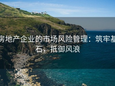 房地产企业的市场风险管理：筑牢基石，抵御风浪
