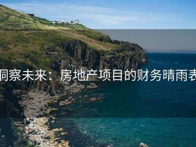 洞察未来：房地产项目的财务晴雨表