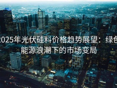 2025年光伏硅料价格趋势展望：绿色能源浪潮下的市场变局