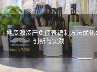 土地资源资产负债表编制方法优化：创新与实践