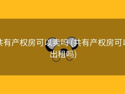 共有产权房可以卖吗 (共有产权房可以出租吗)