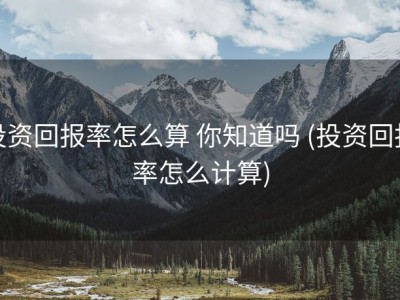 投资回报率怎么算 你知道吗 (投资回报率怎么计算)